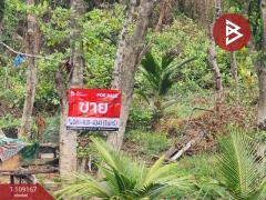 ขายที่ดิน เนื้อที่ 8 ไร่ 91 ตร.วา บางปะอิน พระนครศรีอยุธยา-202504041217211743743841749.jpg