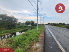 ขายที่ดิน เนื้อที่ 8 ไร่ 91 ตร.วา บางปะอิน พระนครศรีอยุธยา-202504041217271743743847019.jpg