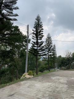 ขาย/ให้เช่า ที่ดินมีโฉนด บนเนินเขา โครงการ The Peak at Khao Khoต.แคมป์สน อ.เขาค้อ  จ.เพชรบูรณ์-202504041443241743752604258.jpg