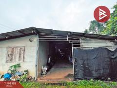 ขายบ้านเดี่ยวพร้อมที่ดิน เนื้อที่ 3 งาน 24.2 ตร.วา หนองเสม็ด ตราด-202504041457451743753465961.jpg