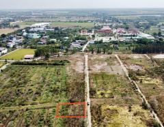ขายที่ดินจัดสรร ลาดบัวหลวง 60 ตร.ว. 3.5แสน-202504041507491743754069404.jpg