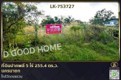 LK-753727 ที่ดินปากพลี 5 ไร่ 255.4 ตร.ว. นครนายก ใกล้วัดดงแขวน