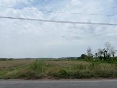 ที่ดินแปลงสวย ทำเลดี ใกล้ห้างสรรพสินค้า เหมาะดำเนินกิจการ นัดชมได้-202504042325141743783914729.jpg