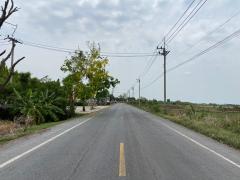 ที่ดินแปลงสวย ทำเลดี ใกล้ห้างสรรพสินค้า เหมาะดำเนินกิจการ นัดชมได้-202504042325161743783916842.jpg