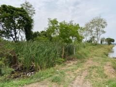 ที่ดินแปลงสวย ทำเลดี ใกล้ห้างสรรพสินค้า เหมาะดำเนินกิจการ นัดชมได้-202504042325171743783917534.jpg