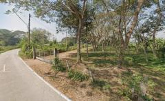 นักลงทุนห้ามพลาด: ที่ดิน 8 ไร่ 1 งาน 88 ตร.วา | บ้านเหล่า ราคาโดนใจ