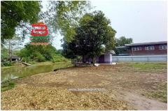  ที่ดินพร้อมบ้าน ซอยลำลูกกา 231 (ลำลูกกาคลอง 12) เนื้อที่ 600 ตรว. ใกล้วัดโสภณาราม ถ.ลำลูกกา ต.บึงคอไห อ.ลำลูกกา จ.ปทุมธานี-202504051156451743829005908.jpg