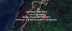 พื้นที่ดิน ที่ดิน ใกล้หาดกมลา อ.กะทู้ จ.ภูเก็ต 2 RAI 0 NGAN 0 ตาราง-วา  34000000 THB ใกล้ หาดกมลา 4 กม. สภาพแวดล้อมดี ภูเก็ต   