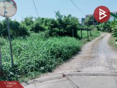 ขายที่ดิน เนื้อที่ 3 งาน 91 ตร.วา บ้านคลอง พิษณุโลก-202504051249531743832193326.jpg