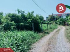 ขายที่ดิน เนื้อที่ 3 งาน 91 ตร.วา บ้านคลอง พิษณุโลก-202504051249531743832193990.jpg