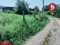 ขายที่ดิน เนื้อที่ 3 งาน 91 ตร.วา บ้านคลอง พิษณุโลก-202504051249541743832194766.jpg