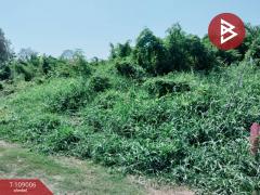 ขายที่ดิน เนื้อที่ 3 งาน 91 ตร.วา บ้านคลอง พิษณุโลก-202504051249551743832195461.jpg