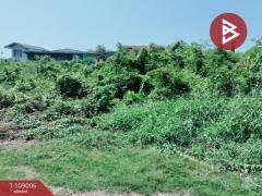 ขายที่ดิน เนื้อที่ 3 งาน 91 ตร.วา บ้านคลอง พิษณุโลก-202504051249561743832196799.jpg