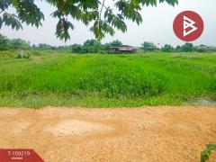 ขายที่ดิน-เนื้อที่-4-ไร่-2-งาน-นครชัยศ