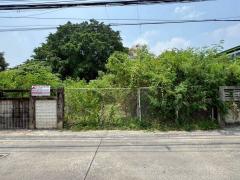 ขายที่ดินเปล่า 320.5 ตารางวา ซอยติวานนท์ 3 แยก 11 ต.ตลาดขวัญ อ.เมืองนนทบุรี (ตลาดขวัญ) จ.นนทบุรี-202504051534571743842097308.jpeg