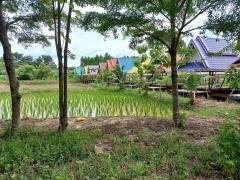 ขายบ้านเรือนไทยประยุกต์ หลังใหญ่ เนื้อที่ 7-3-70 ไร่ ต.หมอนนาง อ.พนัสนิคม จ.ชลบุรี -202504062025361743945936463.jpeg