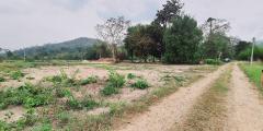 ขายที่ดินวิวเขาเจ้าของขายเอง 1ไร่ ตำบลเขาเพิ่ม อำเภอบ้านนา นครนายก-202504062153131743951193178.jpg