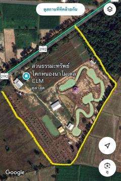 ขายด่วน! ที่ดิน 25ไร่ 2งาน พร้อมสิ่งปลูกสร้าง ติดถนน เดชอุดม-นาห่อม (อบ.2192) 