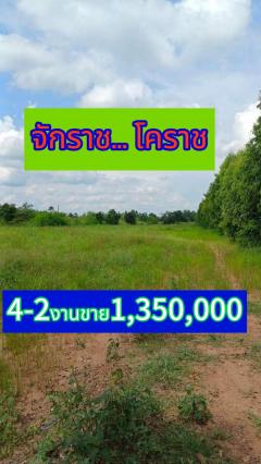 ขายที่ดินอ.จักราช จ.นครราชสีมาที่ดินตั้งอยู่ในเขตตัวอำเภอ-202504070913271743992007117.jpg