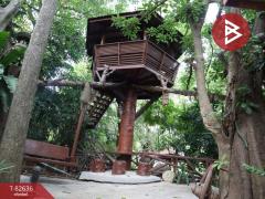 ขายกิจการรีสอร์ท เนื้อที่ 3 งาน 36 ตารางวา สามพราน นครปฐม-202504072235571744040157673.jpg