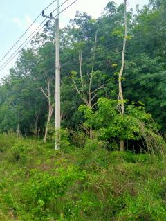 ขายที่ดินระยอง 51-2-57.7ไร่ พื้นที่เหลือง ติดถนน4เลน สายบ้านค่าย-วังจันทร์-202504080202191744052539753.jpg