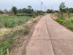 ขายที่ดิน 8 ไร่ อ.บ้านแท่น ชัยภูมิ ติดเขตขอนแก่น-202504080945321744080332618.jpg