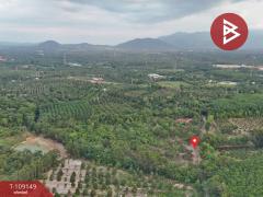 ขายที่ดินเปล่า เนื้อที่ 3 งาน 57.5 ตร.วา. ท่าหลวง อ.มะขาม จันทบุรี-202504081155341744088134095.jpg