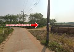 ขายที่ดิน ถนนสุขุมวิท ต.ทุ่งควายกิน อ.แกลง จ.ระยอง-202504081354531744095293204.jpg