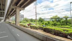 ✅ขายที่ดิน20ไร่  ถมแล้ว พื้นที่สีม่วง หน้ากว้าง 62ม. ถนนพหลโยธิน ตำบล คลองหนึ่ง อำเภอคลองหลวง ปทุมธานี  094 8216 456  -202504081441301744098090233.jpg