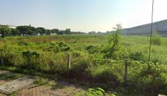 ✅ขายที่ดิน20ไร่  ถมแล้ว พื้นที่สีม่วง หน้ากว้าง 62ม. ถนนพหลโยธิน ตำบล คลองหนึ่ง อำเภอคลองหลวง ปทุมธานี  094 8216 456  -202504081441311744098091542.jpg