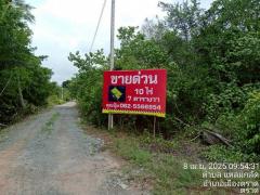 ขายที่ตราด ผังเมืองสีเขียว ที่เปล่าแหลมกลัดใกล้หาดมุกแก้ว ใกล้น้ำตกสะพานหิน