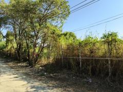 ขายที่ดิน ถมแล้ว แปลงสวย บางใหญ่ นนทบุรี-202504081811081744110668168.jpg