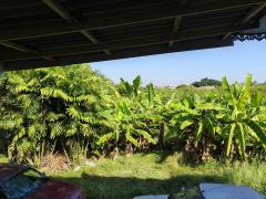 ขายที่ดิน ถมแล้ว แปลงสวย บางใหญ่ นนทบุรี-202504081811171744110677326.jpg