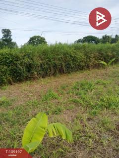 ขายที่ดินเปล่า-เนื้อที่-2-ไร่-ปากช่อ