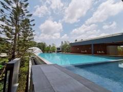 ให้เช่าบ้านเดี่ยวหมู่บ้าน เซนโทรบางนา บ้านไซส์ใหญ่พื้นที่เยอะพร้อมอยู่ (N.1648)-202504091147261744174046731.jpg