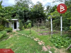 ขายด่วนบ้านเดี่ยวพร้อมที่ดิน เนื้อที่ 1 ไร่ นครชัยศรี นครปฐม-202504091203041744174984531.jpg