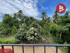 ขายด่วนบ้านเดี่ยวพร้อมที่ดิน เนื้อที่ 1 ไร่ นครชัยศรี นครปฐม-202504091203091744174989065.jpg