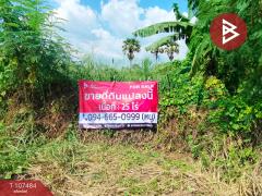 ขายที่ดิน เนื้อที่ 25 ไร่ บ่อทอง ชลบุรี พื้นที่กว้างขวางขนาดใหญ่-202504100953171744253597113.jpg