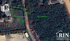 ขายถูก ที่ดินในโครงการ โนเบิลอุทยาน 2 แปลง พื้นที่ 175.2 ตารางวา แบ่งขาย 1 แปลงได้-202504101101581744257718160.jpg