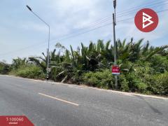 ที่ดินเปล่าติดถนน เนื้อที่ 7 ไร่ 2 งาน 6.1 ตร.วา คลองโคน สมุทรสงคราม-202504101527411744273661977.jpg