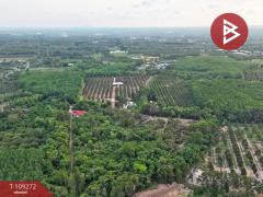 ขายที่ดิน เนื้อที่ 3 งาน 59.4 ตร.วา มะขาม จันทบุรี-202504101600551744275655772.jpg