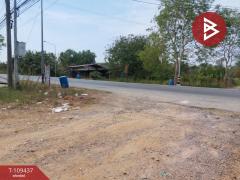 ขายที่ดิน เนื้อที่ 2 งาน บึงคอไห คลองสิบสอง จ.ปทุมธานี-202504101628111744277291571.jpg