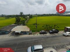 ขายอาคารพาณิชย์ 3.5 ชั้น เนื้อที่ 17 ตร.วา สามพราน นครปฐม-202504101705581744279558422.jpg