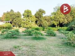 ขายบ้านเดี่ยวพร้อมที่ดิน เนื้อที่ 1 ไร่ 2 งาน 5.1 ตร.วา ในเมือง พิจิตร-202504101709111744279751394.jpg