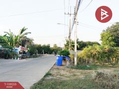 ขายบ้านเดี่ยวพร้อมที่ดิน เนื้อที่ 1 ไร่ 2 งาน 5.1 ตร.วา ในเมือง พิจิตร-202504101709121744279752042.jpg