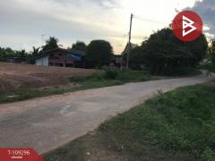 ขายที่ดินเปล่า เนื้อที่ 1 งาน 79 ตร.วา พนัสนิคม ชลบุรี-202504101718231744280303443.jpg