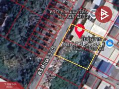 ขายที่ดิน เนื้อที่ 1 งาน 92.4 ตร.วา สำโรงเหนือ สมุทรปราการ-202504110353451744318425958.jpg