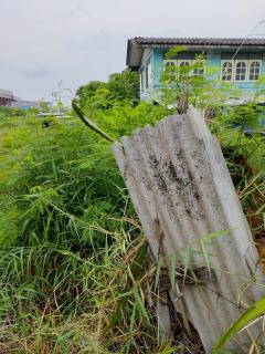 ขายที่ดิน 10 ไร่ (ผังสีเหลือง) หน้าที่ดินติดถนนซอยทับคล้าย อ.เมืองสมุทรปราการ #LB128 – 000997-202504110950561744339856280.jpg