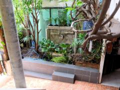 ขายบ้านเดี่ยว 3 ชั้น พัทยากลาง ซอยตรงข้ามบิ๊กซี พัทยากลาง-202504111102311744344151947.jpg