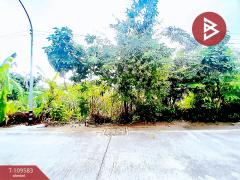 ขายที่ดินเปล่า เนื้อที่ 40 ตร.วา ธัญบุรี ปทุมธานี-202504111136401744346200178.jpg